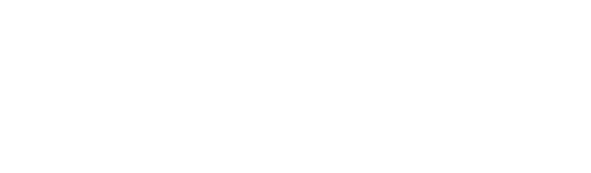Home - Evidenss consulting